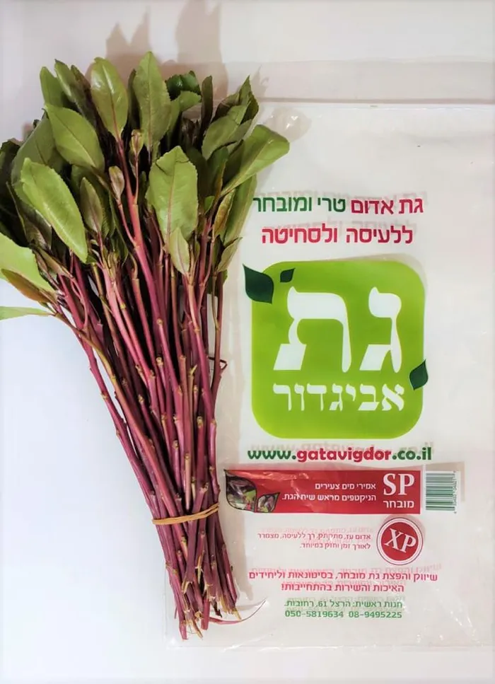 אריזת גת מזן SPX של גת אביגדור